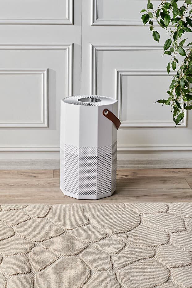 HOMEND 9012H Wi-Fi Destekli UV-C ve İyonizerli Akıllı Hava Temizleme Makinesi - Fiyatı