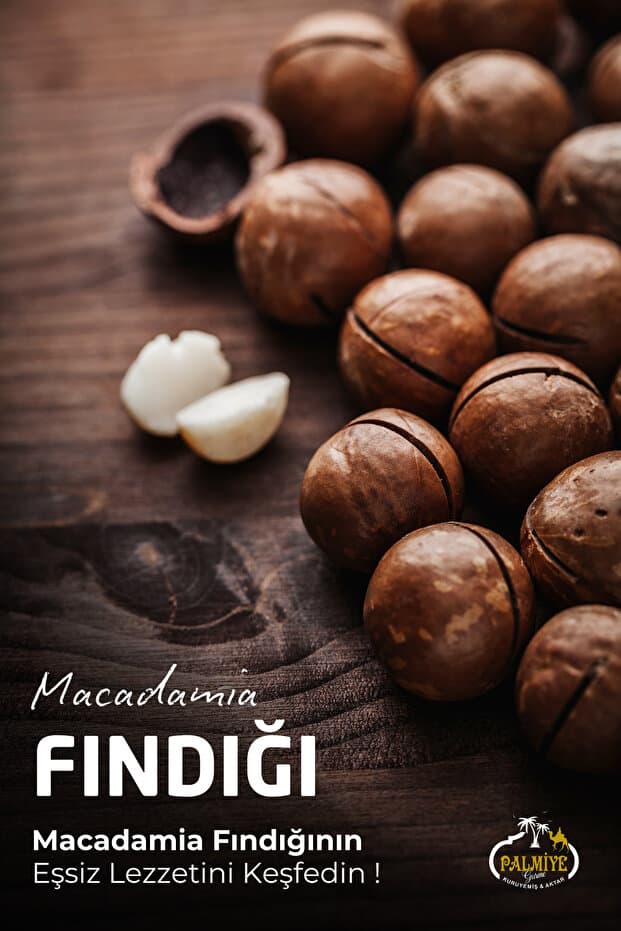 Palmiye Gurme Makademya Fındığı Kabuklu (500gr) - Fiyatı