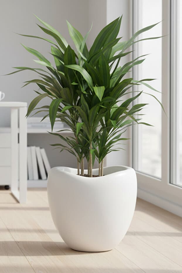 Bliss Lale Dekoratif Beyaz Saksı 52 Lt - Büyük Boy Modern Salon & Bahçe Saksısı