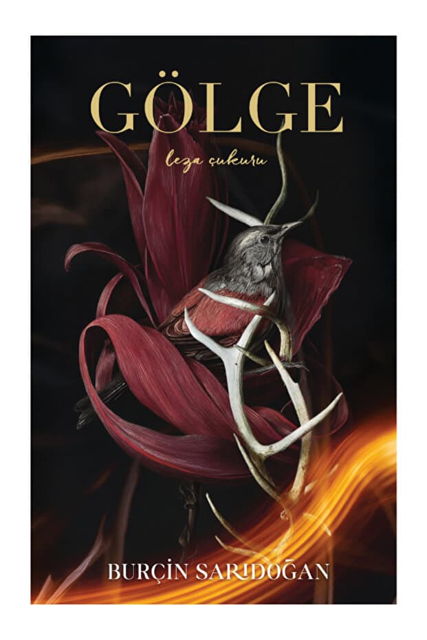 lapis kitap Gölge - Leza Çukuru / Burçin Sarıdoğan / / 9786259369020