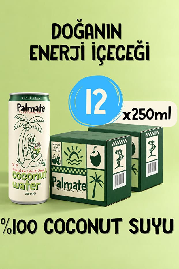 PALMATE %100 Coconut Suyu Hindistan Cevizi Suyu 12x250 ML - Fiyatı