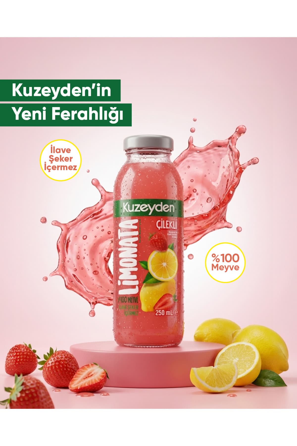 KUZEYDEN Çilekli Limonata | 12x250ml | İlave şeker, katkı ve koruyucu madde içermez | 12 Adet | %100 Meyve