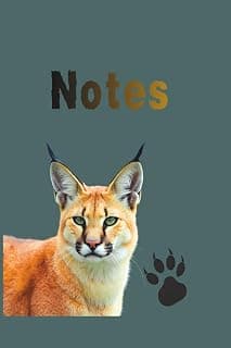 Notes: Notebook for men