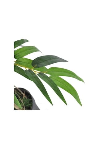 Yapay Ağaç Bambu Ağacı 2 Gövdeli Çalılı 90X70Cm Siyah Plastik Sak