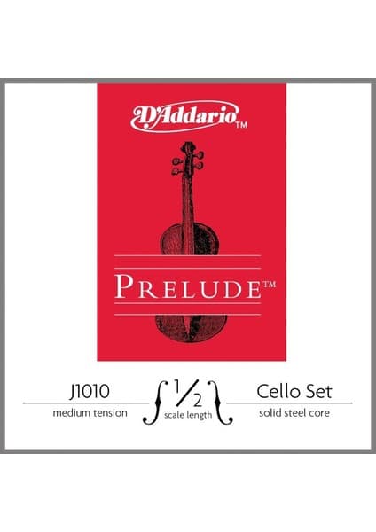 D'Addario Daddarıo J1010