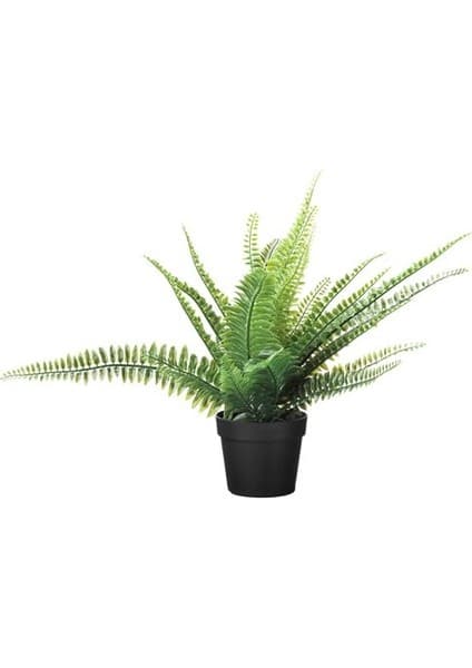 IKEA Yapay Eğreltiotu Bitkisi 9 cm Yapay Bitki Ev