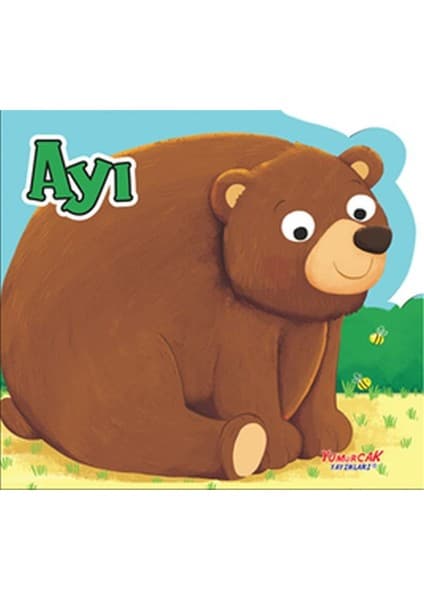 Ayı - Şekilli Kitap Kitabı ve