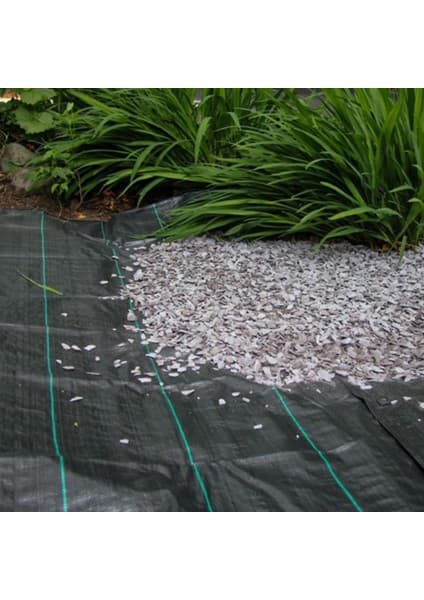 Sera Trend 2 x 20 M Sulzer Kumaş Sera Taban Örtüsü Jüt Blueberry Peyzaj Uygulama Örtüsü Mulch