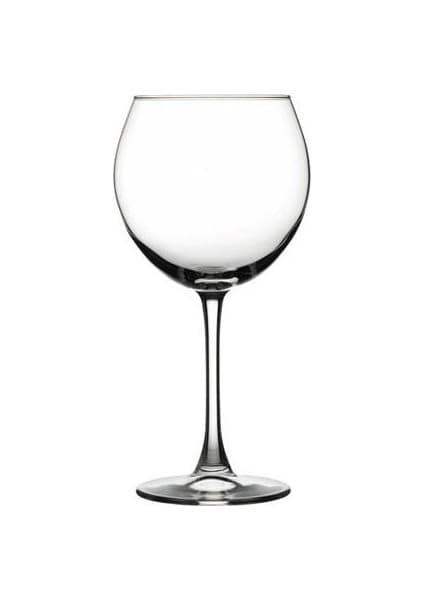 Paşabahçe Enoteca Bardak 4