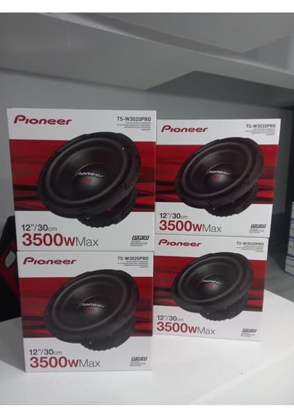 Pioneer TS-W3020PRO 30CM Subwoofer