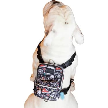Mey İthalat Awlook Street Smart Köpek Sırt Çantası –su Geçirmez, Göğüs Tasması Fonksiyonlu,