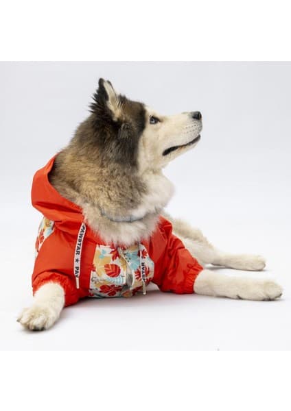 Pawstar Ottawa Büyük Irk Köpek Tulum