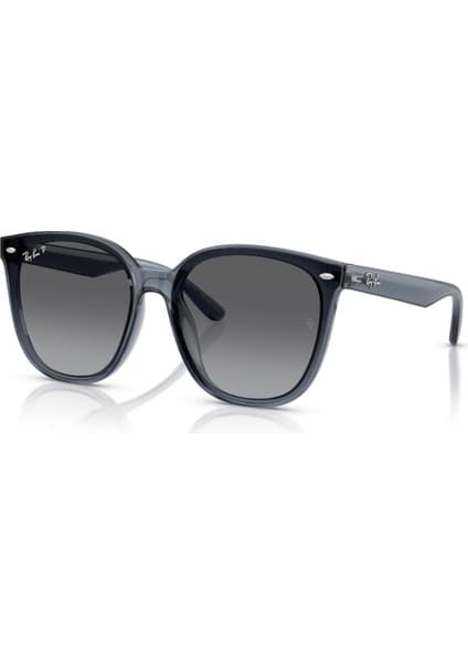 Ray-Ban Güneş Gözlüğü RB4423D 66