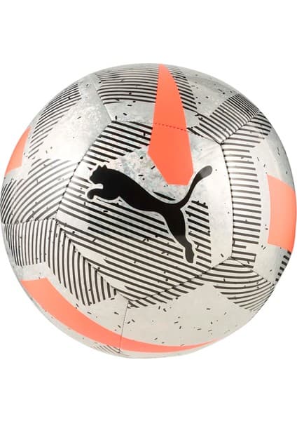 Puma Cage