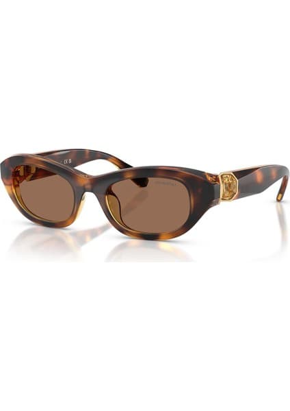 Swarovski SK6036U 100273 50 Kadın Güneş