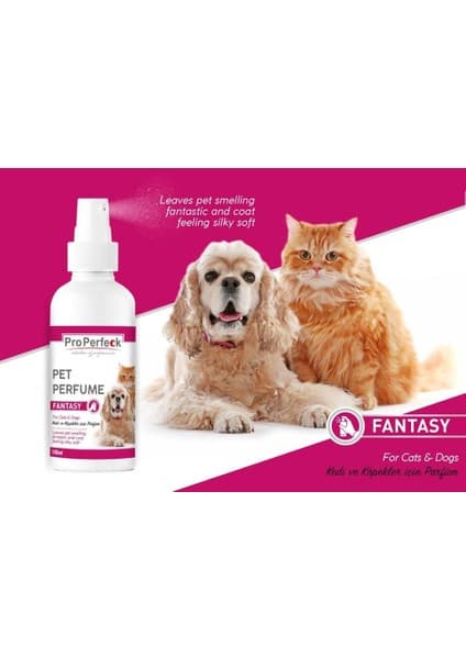 Colezium Pro Perfeck Kedi ve Köpek Fantezi Parfüm 100 ml Fiyatı
