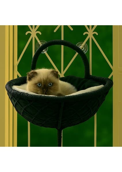 Teknor Gezegen Kedi Cam Yatağı & V Cam Yatağı & Kedi Pencere Fiyatı