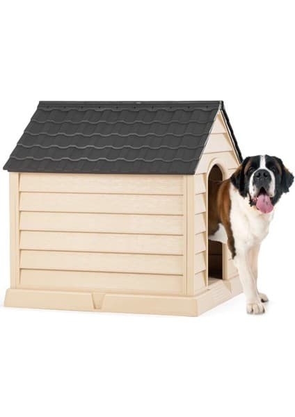 Büyük Köpek