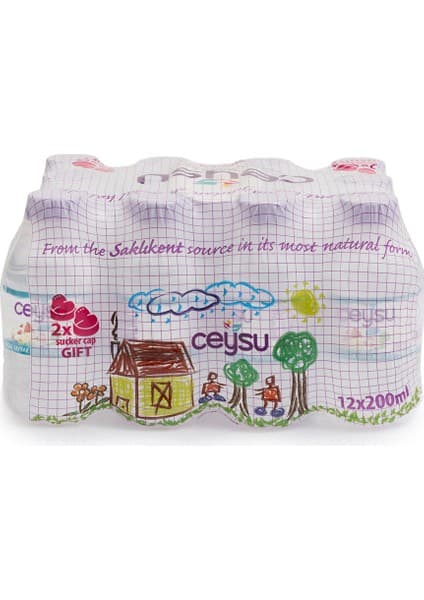 Ceysu Doğal Kaynak Suyu 12X200 ml (5