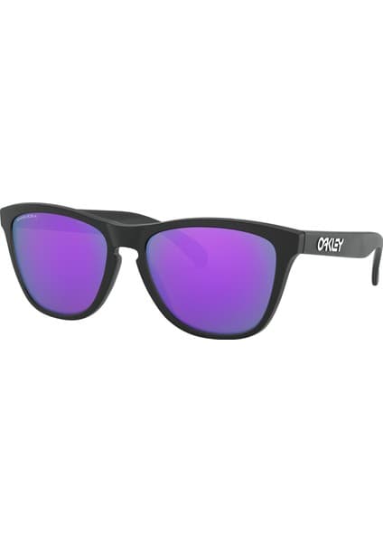 Oakley Frogskins Erkek Siyah