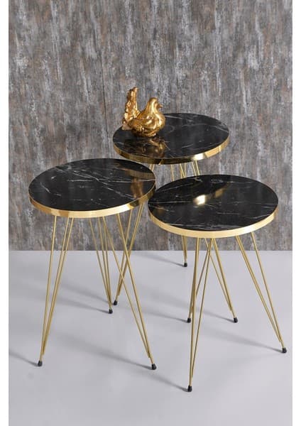 Zigon Sehpa Gold Bendir Tel
