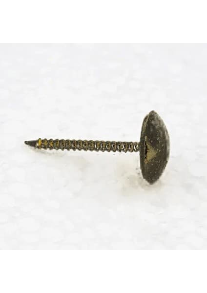 Magicool Antik Saraciye, Deri Tırtıklı Kabara 9,5 mm -