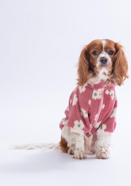 Pawstar Avenra Bloom Ceket Çiçek Desenli Batik Kedi Köpek Ceketi Kedi Köpek Kıyafeti Kedi Köpek