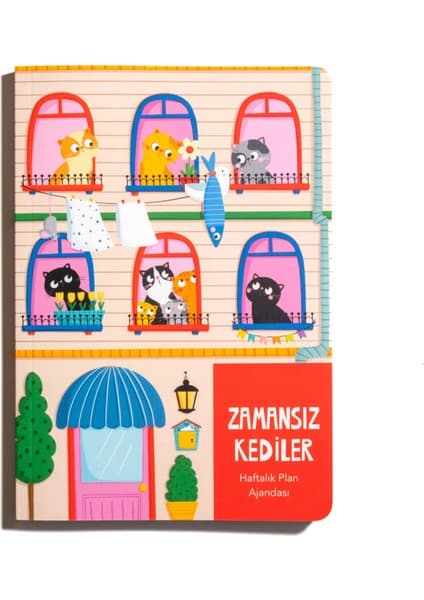 Thinkbook Balkon Zamansız Kedi