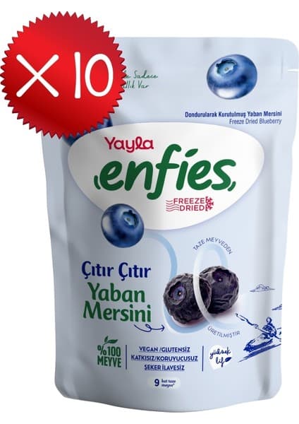 Yayla Enfies Freeze Dried Yaban Mersini 15 g x10 Fiyatı