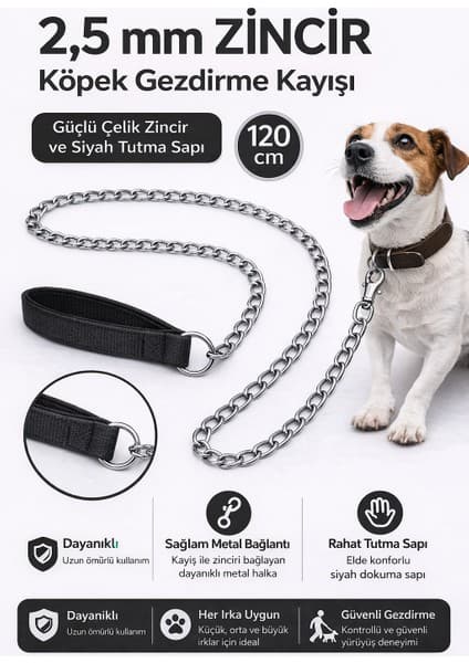 Colezium Zincir Köpek Gezdirme Kayışı Dalı Çelik & Ergonomik