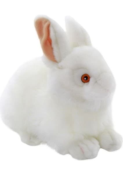 NessiWorld 23CM Beyaz
