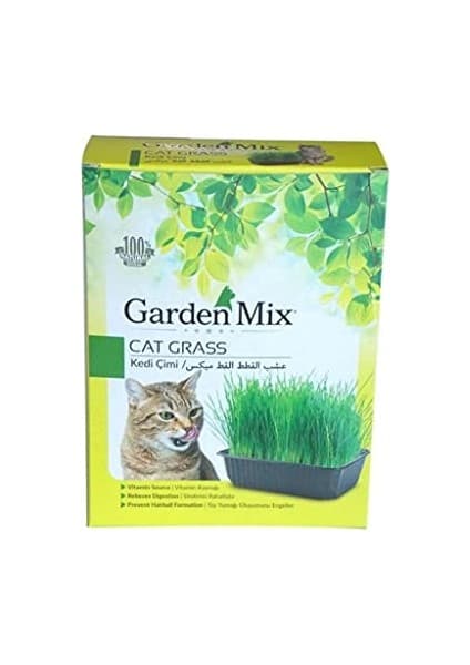 Garden Mix Kutu Kedi Çimi, Kahverengi,