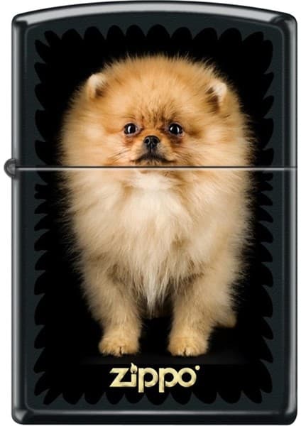 Zippo Puppy