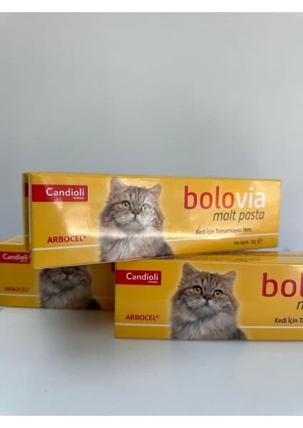 AyrStore Candioli Bolovia Kedi Maltı Pasta, 50G, Fiyatı