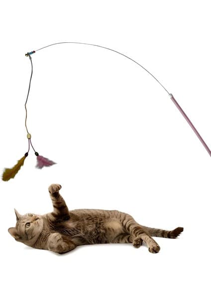 Belirtilmemiş Aee® Kedi Oltası Elastik Çift Tüylü Çanlı Boncuklu Kedi Oyuncağı – 130 cm Uzunluk,