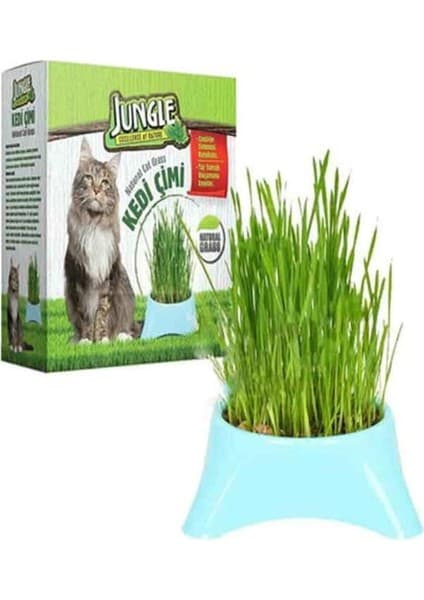 Jungle-Fileli Kedi