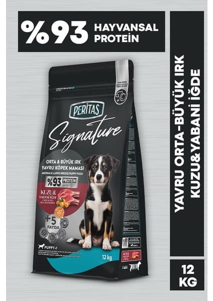 Signature Kuzulu Yavru Köpek Orta ve Büyük Irk - 12