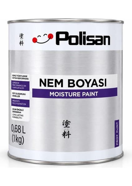 Polisan Nem Boyası 2,5