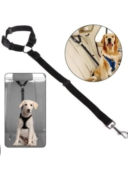 Tr Evcil Hayvan Araç Emniyet Kemeri Kedi Köpek Oto Emniyet Tasması -